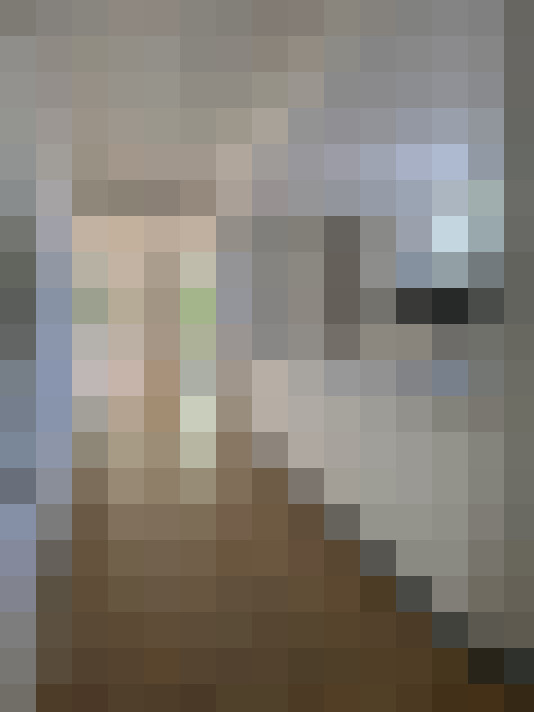  / #24