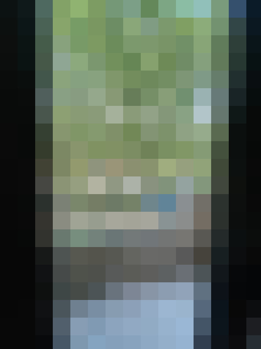  / #17