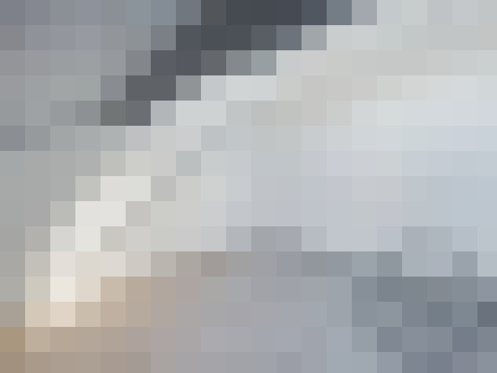  / #14