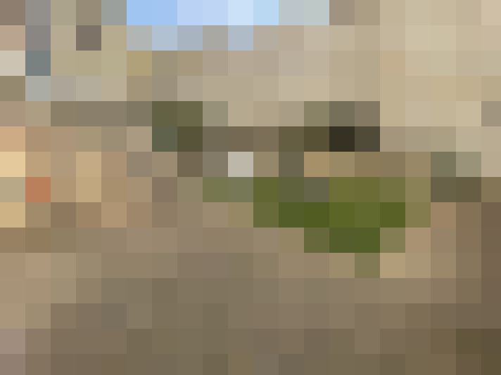  / #13
