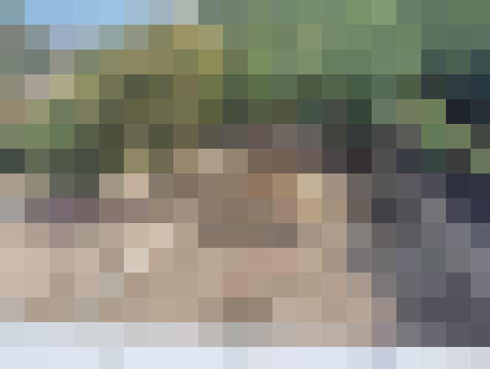  / #14