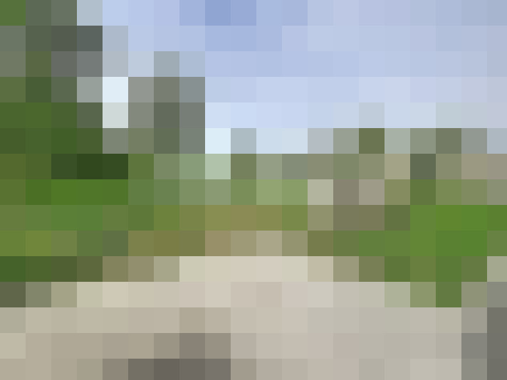  / #16