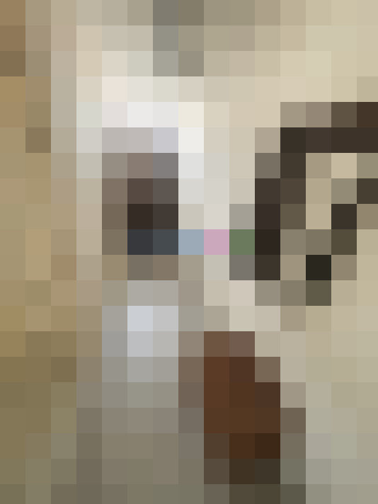  / #9