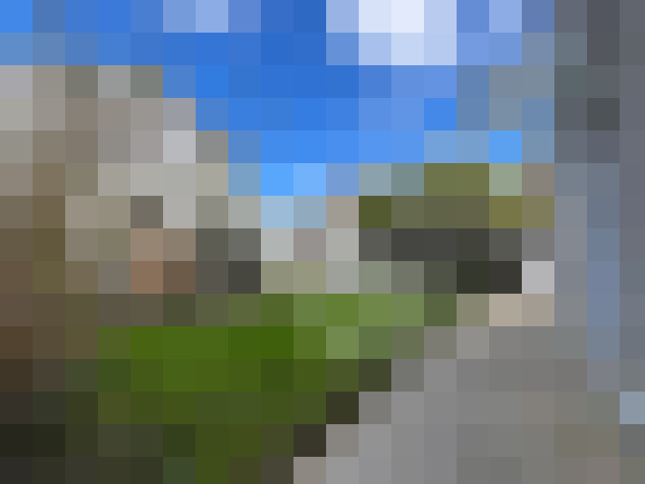  / #8