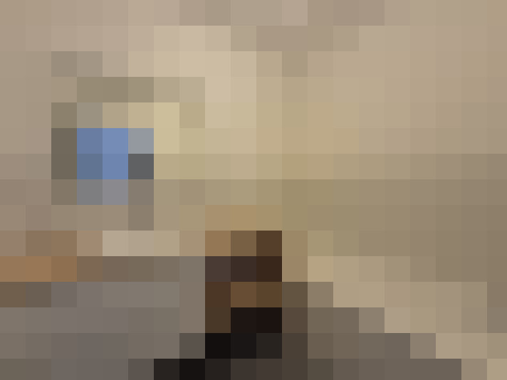  / #11