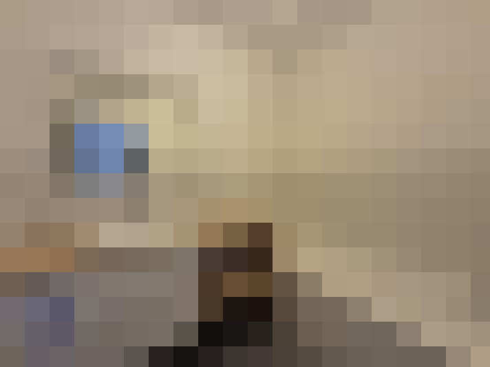  / #12