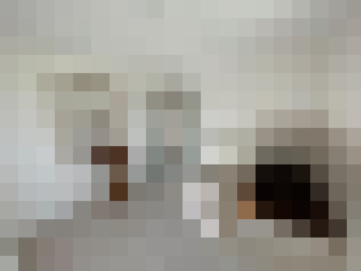  / #8
