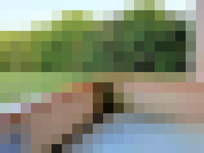 / #8