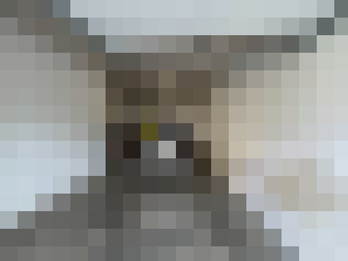  / #14