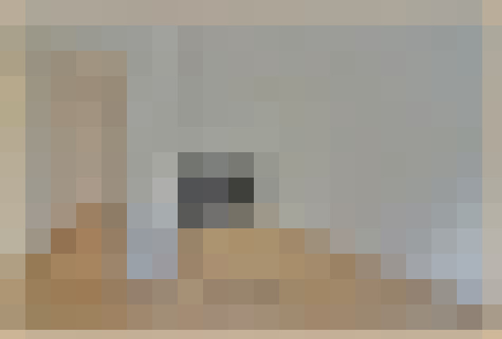  / #16