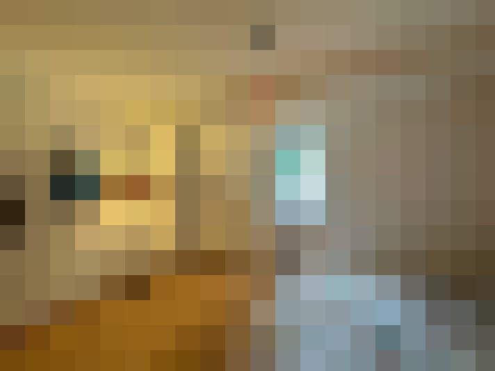  / #7