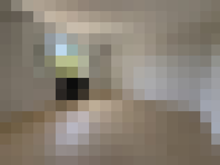  / #7