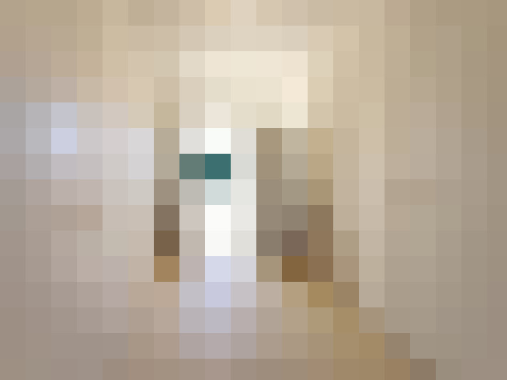  / #15