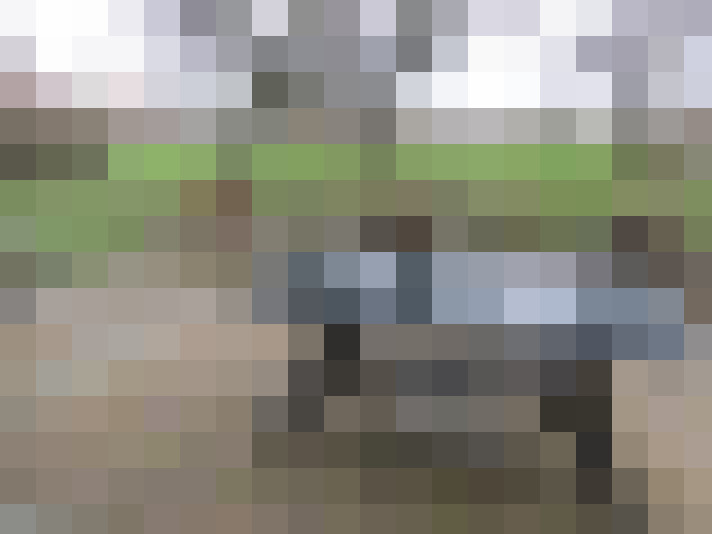  / #12