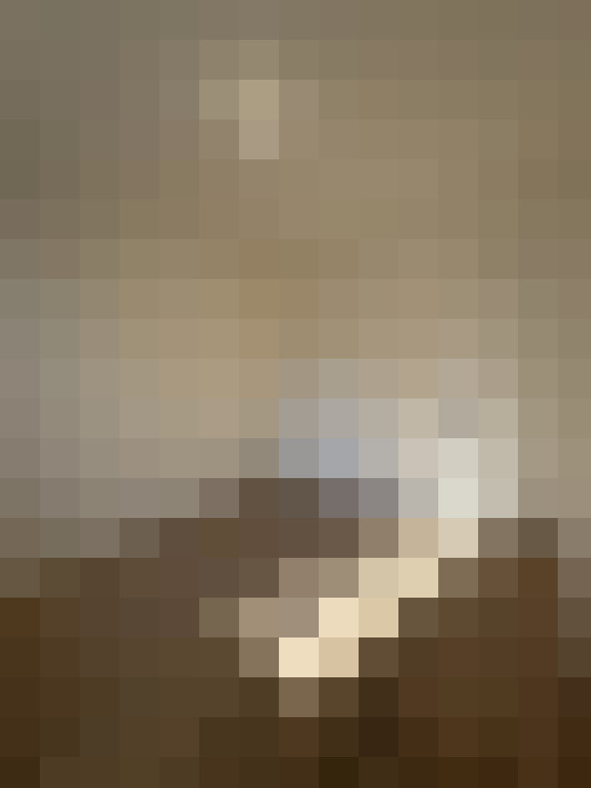  / #16