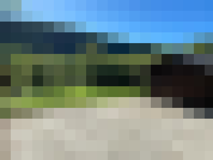  / #14