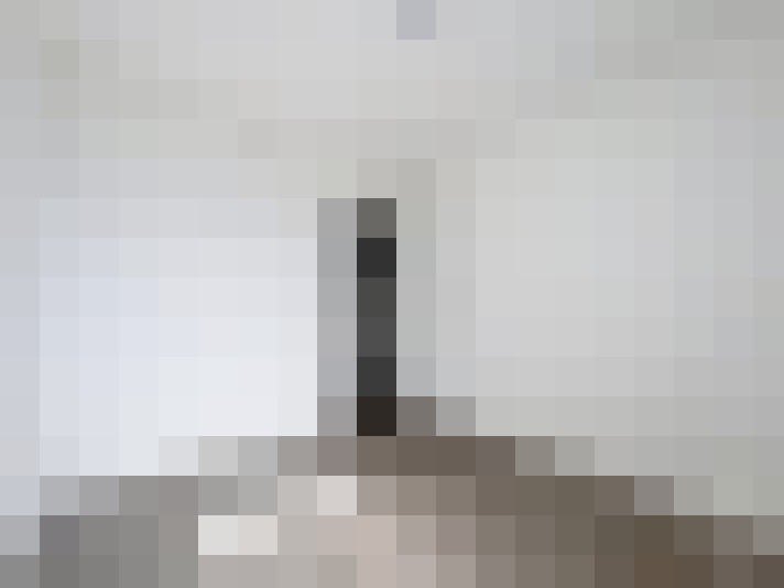  / #8