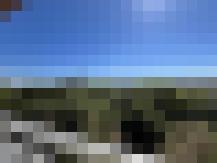  / #7