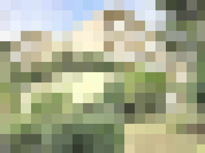  / #16