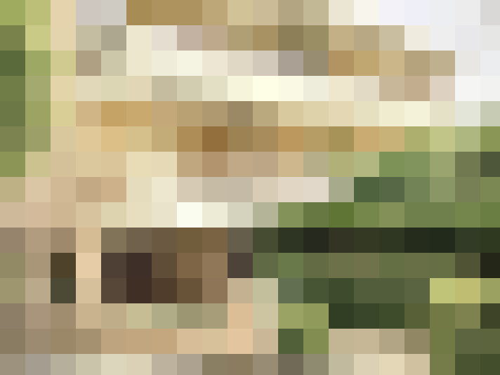  / #17