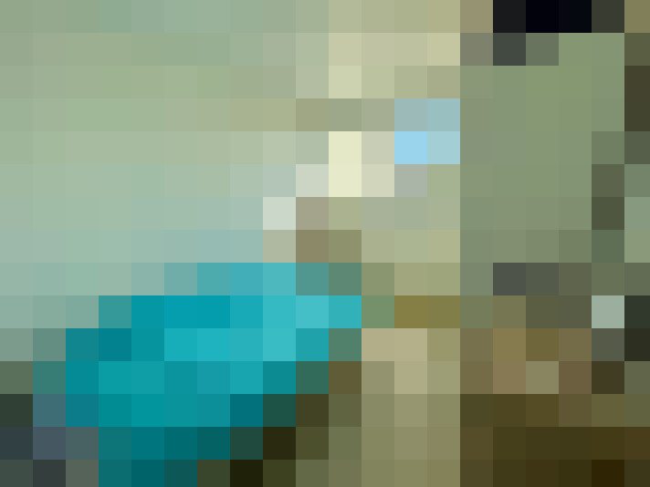  / #6
