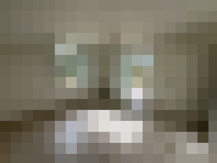  / #7