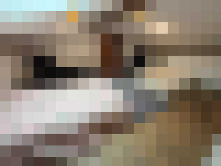  / #17