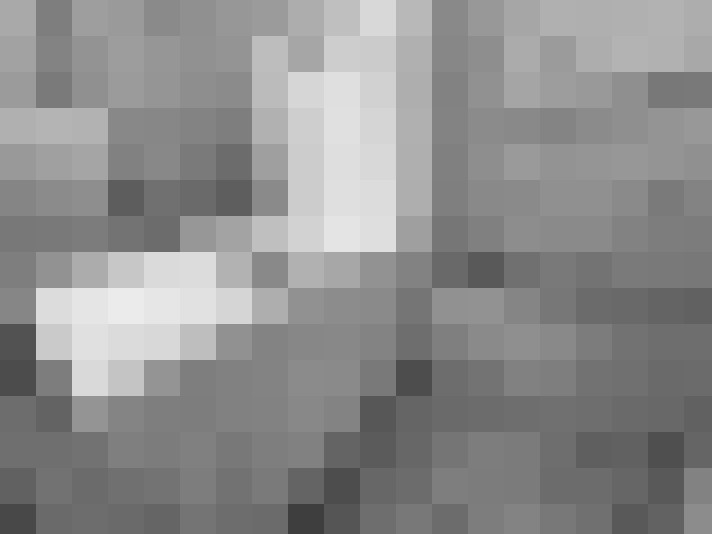  / #16