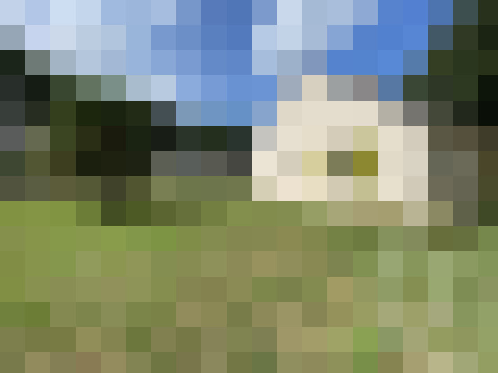  / #13