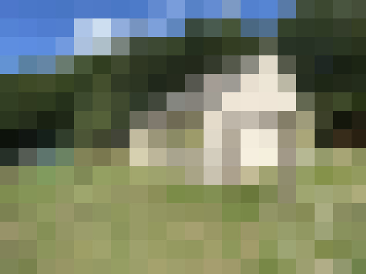  / #15