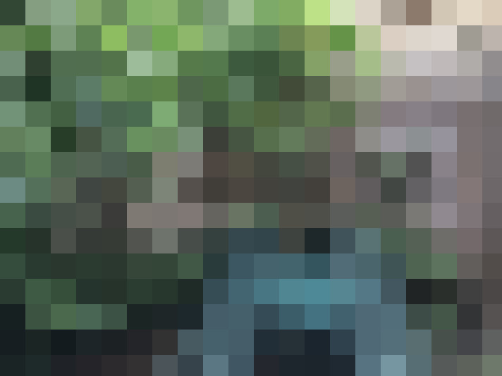  / #12