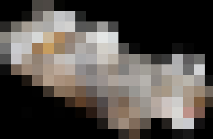  / #8