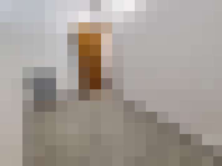  / #8