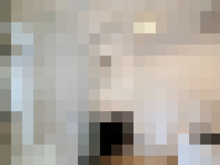  / #8