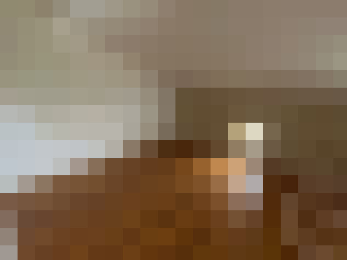  / #11