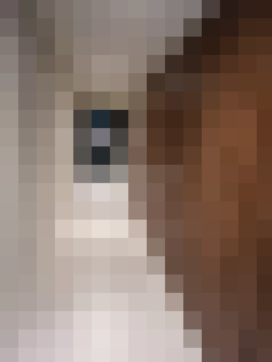  / #16
