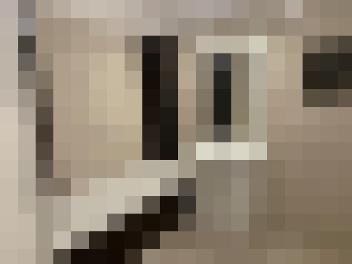  / #9