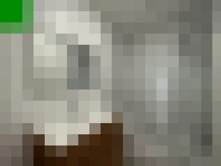  / #8