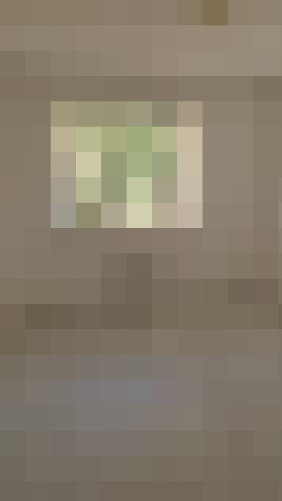  / #11