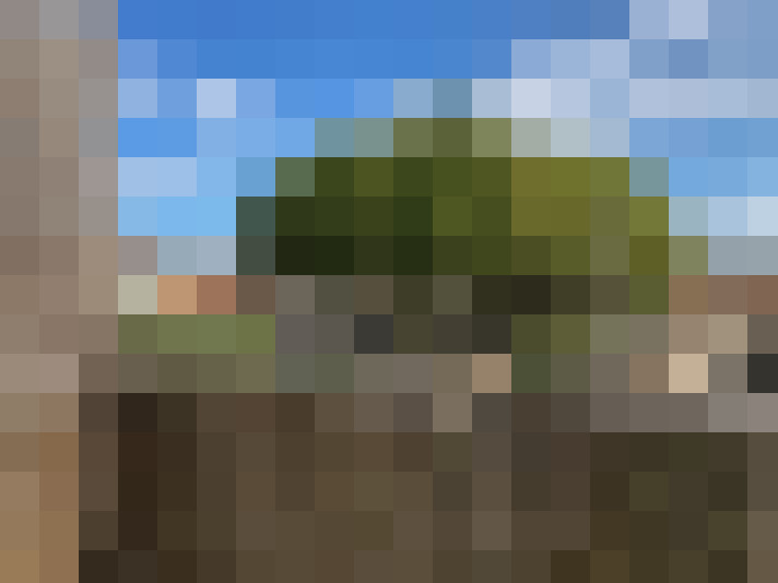  / #6