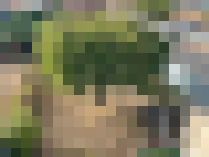  / #14