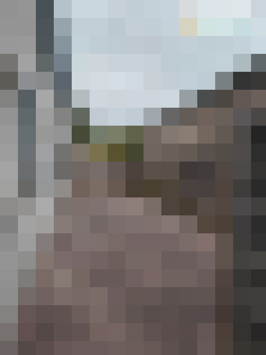  / #20