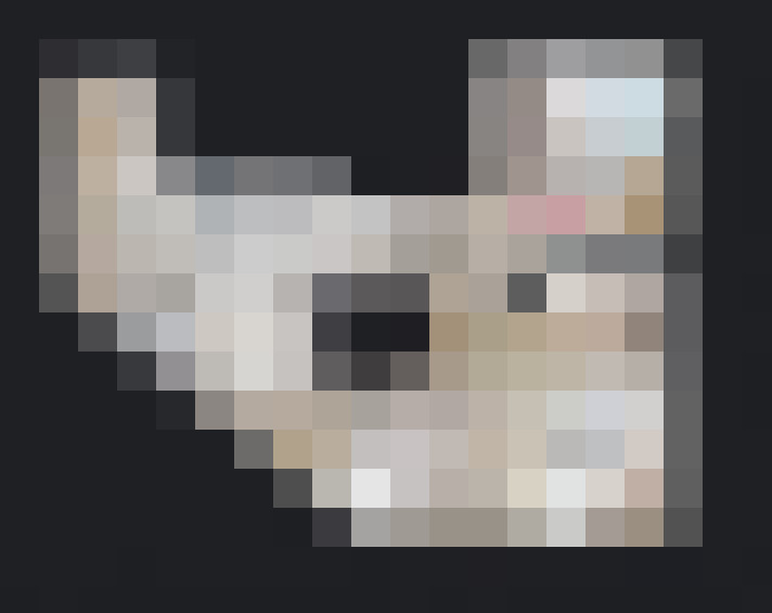  / #10