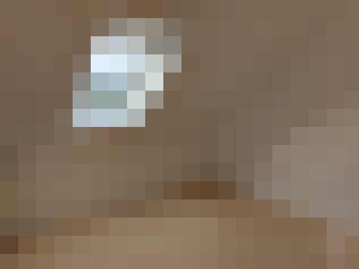  / #15