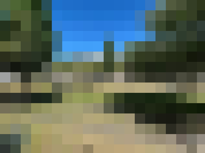  / #7