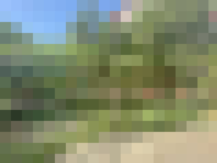  / #14