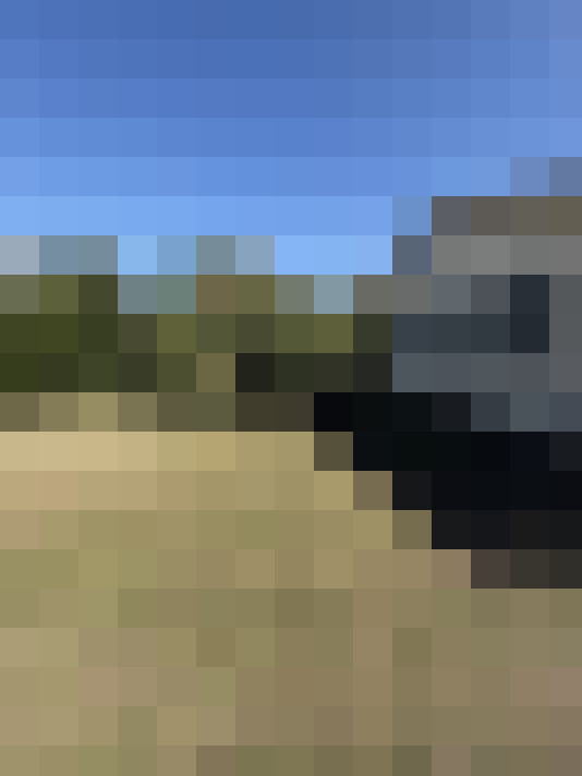  / #15