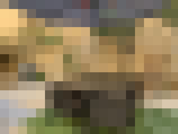  / #14