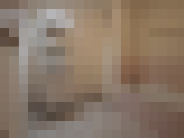  / #15