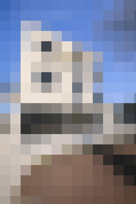  / #7